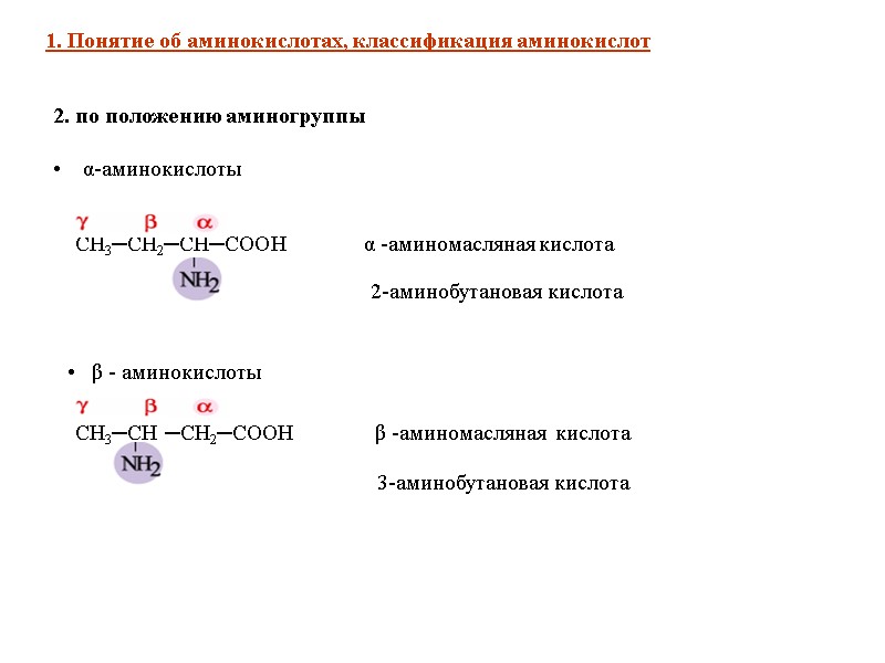 2. по положению аминогруппы      α-аминокислоты   1. Понятие